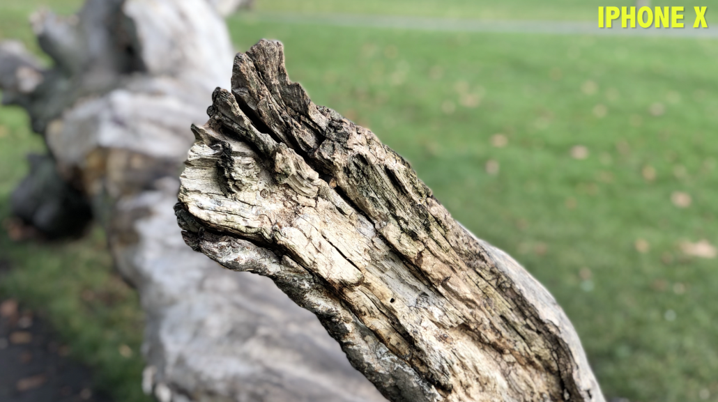 Dead wood shot iPhone X