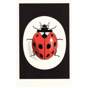 ladybird logo