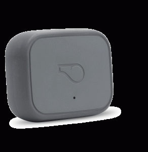Whistle 3 GPS Pet Tracker & Activity Monitor