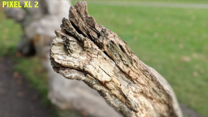 Dead wood shot iPhone X vs Google Pixel 2 XL Camera 1